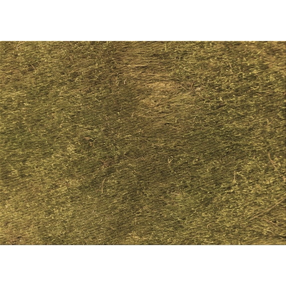 Ahgly Company Indoor Rectangle Patterned Dark Golden Rod Brown Area Rugs, 4' x 6'