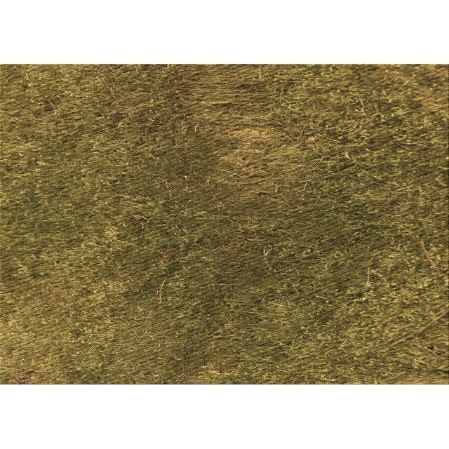 Ahgly Company Machine Washable Indoor Rectangle Transitional Dark Golden Rod Brown Area Rugs, 2' x 3'