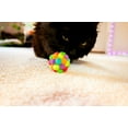 thumbnail image 4 of Vibrant Life Pom Pom Cat Toy, Multicolor, 4 of 8