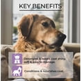 thumbnail image 2 of Paw Naturale Doggy Style hypoalergic conditioner, 2 of 5