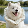 thumbnail image 4 of Decoration Cat Adjustable Lick Collar | Cute Adjustable Suitable For And Daily Home Use Travel And Sightseeing, 4 of 8