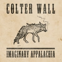 Colter Wall - Imaginary Appalachia - Music & Performance - Vinyl