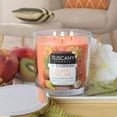 thumbnail image 4 of Armis Tuscany Island Nectar, 14 Ounce,ABCD, 4 of 6