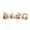 C#440803gg, variant on Craft Glue Ocean Shell DIY Handmade Kit, Marine Seashell Art Craft Set, Beach Theme Wooden Decoration Assembly Kit, Creative Glueing Project, Seaside Souvenir Making Kit