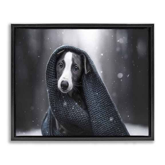 Stupell Industries Eclectic Dog with Winter Scarf Black Floating Frame Canvas Art, 21 x 17, by Natalie Grosse