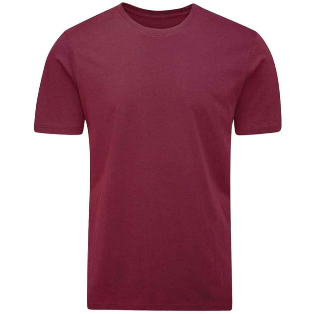 Mantis T-Shirt Biologique pour Hommes