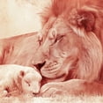 thumbnail image 6 of WYYP A Majestic Lion Washable Round Tablecloth for Home Kitchen Outdoor Decoration 100% Polyester Fiber White, 6 of 8