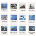 thumbnail image 3 of 12pcs/set Animals Toys For Kids Solid Marine Life Animal Plastic Marine Bath Model Animal Model, 3 of 3