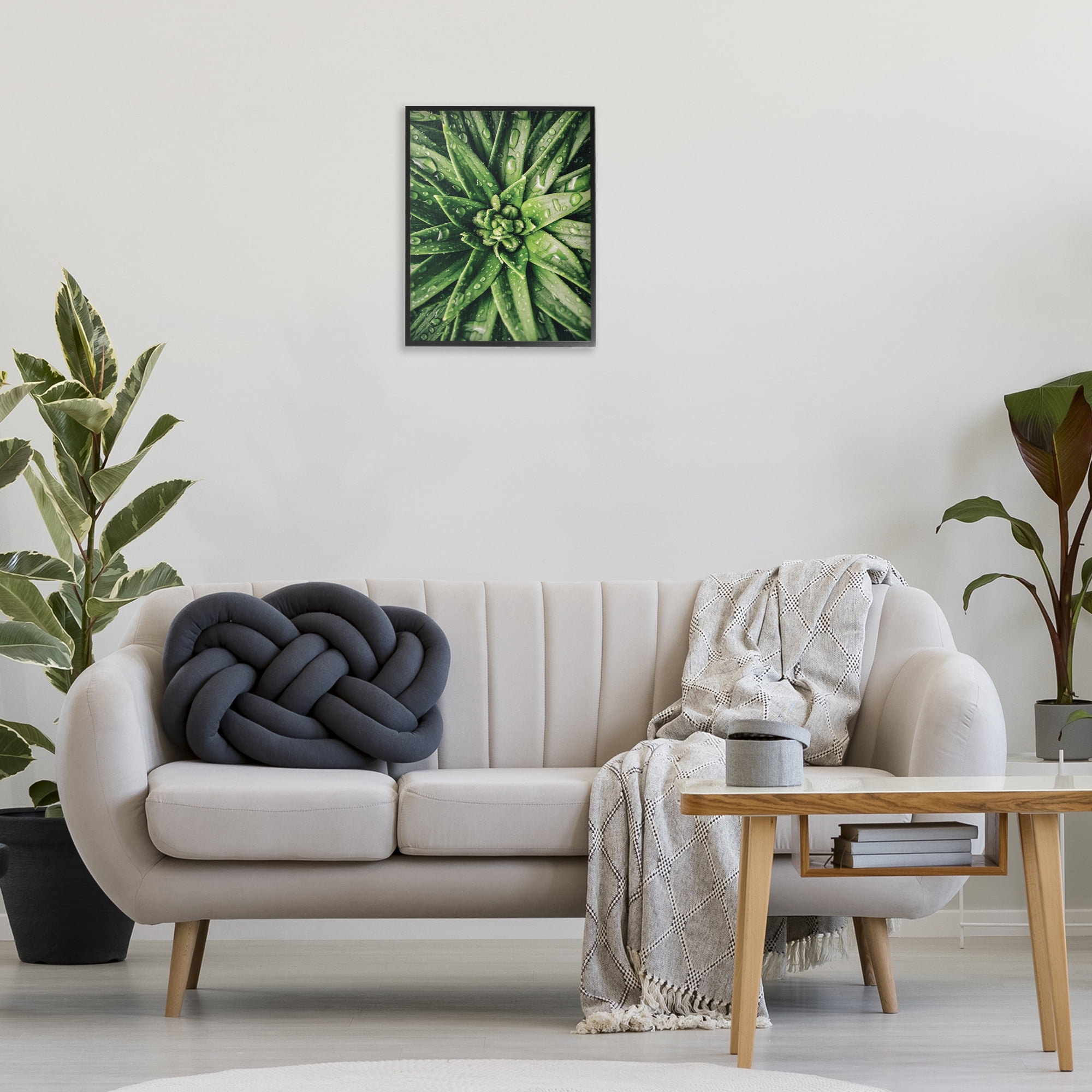 Stupell Industries Succulent in Rain Botanical & Floral Photography Black Framed Art Print Wall Art, 16 x 20