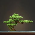 thumbnail image 2 of Decoración del hogar en maceta DIY, árbol falso, bonsái, sala de estar, estilo chino, Hotel, porche, paisaje, decoración de plantas verdes, 2 of 4