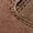 Brown, variant on Men's Suede-Look Perforated Slip-On Loafers – Lightweight Casual Driving Shoes with Hand-Stitched Detail