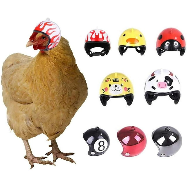 Casco para mascotas, casco de pollo, sombrero para mascotas, casco de juguete, casco de gallina, disfraces, accesorios de pollo, 8 piezas
