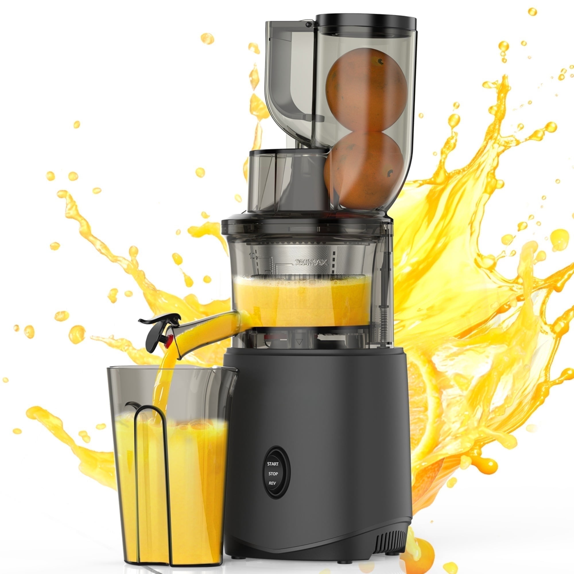 Ninja Pro Cold Press Juicer, Powerful Fruit & Vegetable