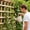 M, variant on Upgraded Watering Can Thickened Watering Can Long-spout Gardening Watering Can Large-capacity Household Watering Can For Plants And Vegetables Multi-purpose Watering Can M