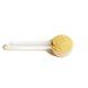 thumbnail image 4 of Suplemento Natural Factors RegenerLife Powder 80 ml, 4 of 4