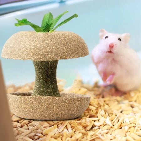 Apple Core Shaped Hamster Chew Toy - Food Bowl & Treat Dispenser for Small Pets.