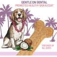thumbnail image 5 of Himalayan Dog Chew  3.25 oz Coconut Bone Dog Chews, Medium, 5 of 11