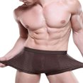 thumbnail image 1 of Sous-vêtements pour Hommes Slips en Maille Respirants Caleçons en Coton Modal, 1 of 5