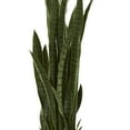 thumbnail image 5 of 46” Sansevieria Artificial Plant, 5 of 8