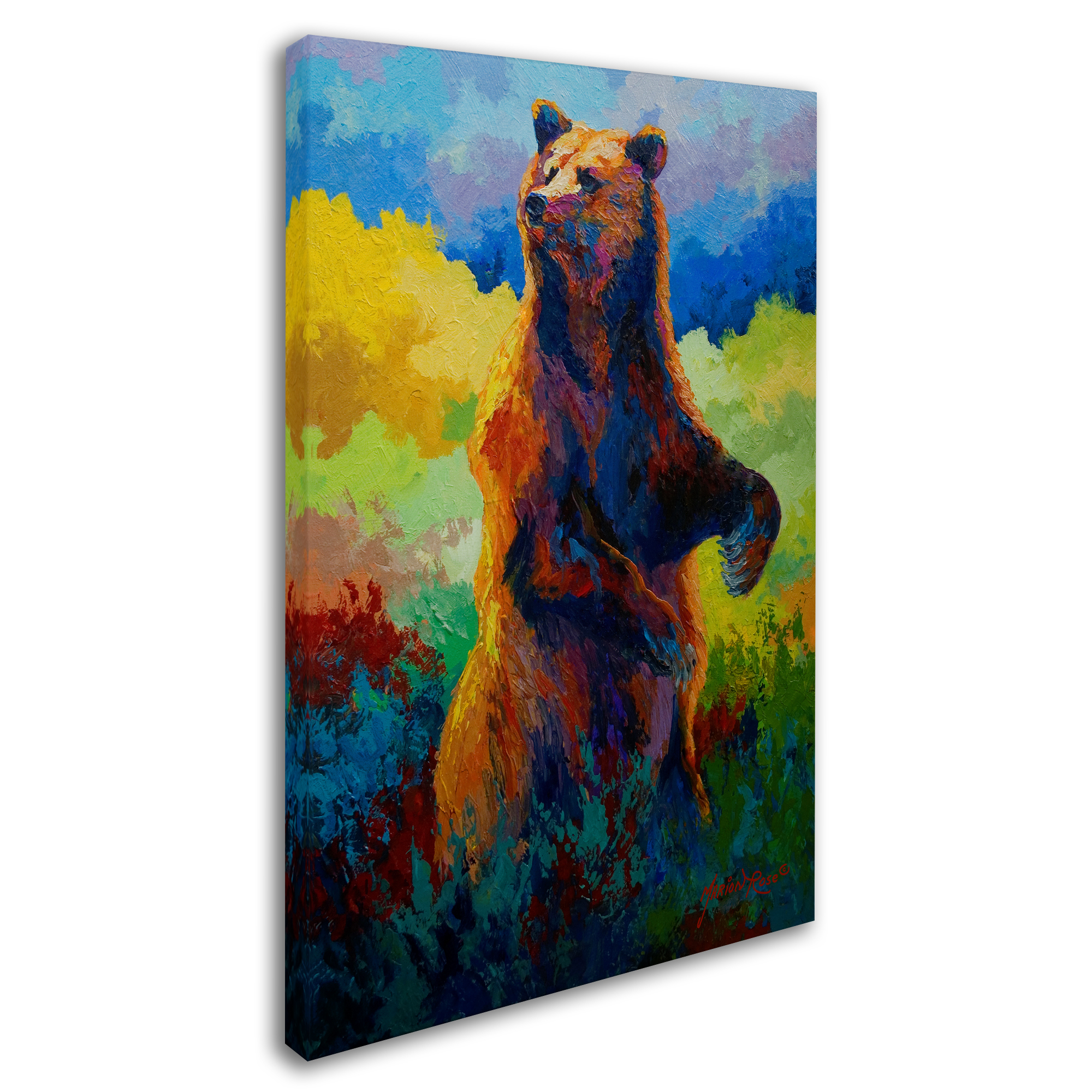 Trademark Fine Art 'I Spy Grizz' Canvas Art by Marion Rose