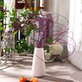 thumbnail image 7 of 30 Stem Christmas Curly Branch Xmas Glitter Branch Vase Filler Branch Ting,Duslogis Ting Branch Glitter Decoration for Christmas Decor, Wedding, Holiday and Home (Purple), 7 of 7