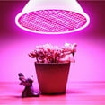 thumbnail image 6 of Hxlazmoo E27 LED Plant Grow Light for Indoor Plants and Succulents - Red Blue Spectrum Bulb with Heat Dissipation, Energy Efficient for Home, Greenhouse, Office Gardening, 6 of 8