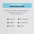 thumbnail image 2 of Filtro de repuesto tipo HEPA para purificador de aire Homedics TotalClean, 2 of 7