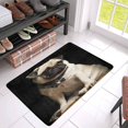 thumbnail image 3 of POP Pug Dog Indoor Doormat 30x18 Inches Non Slip Front Entrance Door Mat Rug, 3 of 3