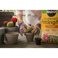 MiracleGro Cactus, Palm & Citrus Potting Mix, FastDraining Soil