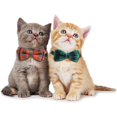 thumbnail image 2 of LAICAIW 2 Colliers pour Chats, avec Nœud Papillon Détachable Réglable et Clochette Argentée, pour Cou de Petits Chiens et Chats 7.8 Pouces-10.2 Pouces, 2 of 7