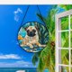 thumbnail image 5 of Exquisitos Animales Acrílicos Planos para Decoración Del Hogar | Acrílico de Alta Transparencia | Impresión a Doble Cara | 15 Cm, 5 of 5
