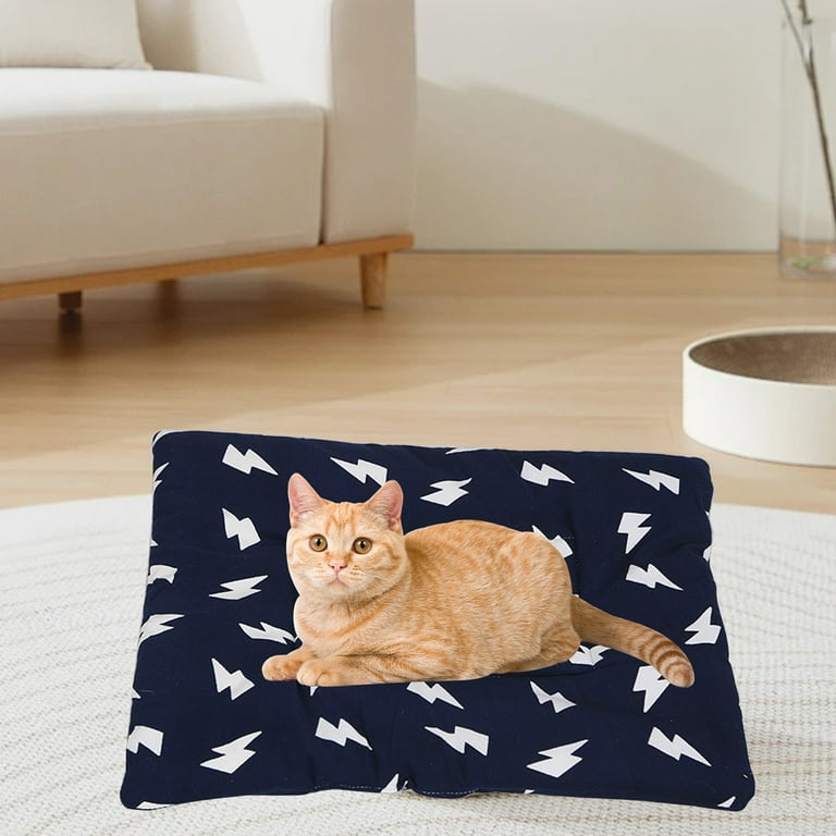Hgallory Polyester Milk Velvet Sleeping Pet Mat for All Season Household Pet Carpet Floor Mats for Pets Kids Adults Modern Home Decor Pet Bed for Living Room Bedroom 14 x18 x2.4