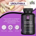 thumbnail image 4 of Logic Nutra Urolithin A Supplement with Black Pepper Extract 1000mg for Healthy Aging, 60 Capsules, 4 of 6