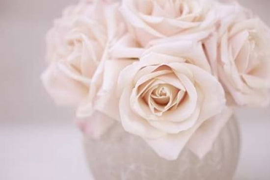 Rose Bouquet Canvas