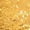 Gold, variant on Raenseen Kids Girls One Shoulder Long Sleeve Shiny Sequins Dance Crop Top Gym T-Shirt Ballet Gymnastics Jazz Dancewear Red 12