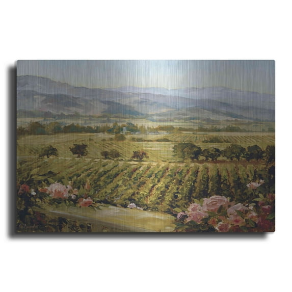 Luxe Metal Art 'Vineyards to Vaca Mountains' by Ellie Freudenstein, Metal Wall Art, 24"x16"