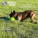 thumbnail image 4 of Juguete para Mascotas para Perros que Ayuda a Afilar los Dientes una Bola que Hace Ruido, 4 of 7