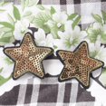 thumbnail image 1 of Pegatina para ropa, 12 piezas, parche bordado de estrella con lentejuelas, parche de estrella, claridad notable, 1 of 8