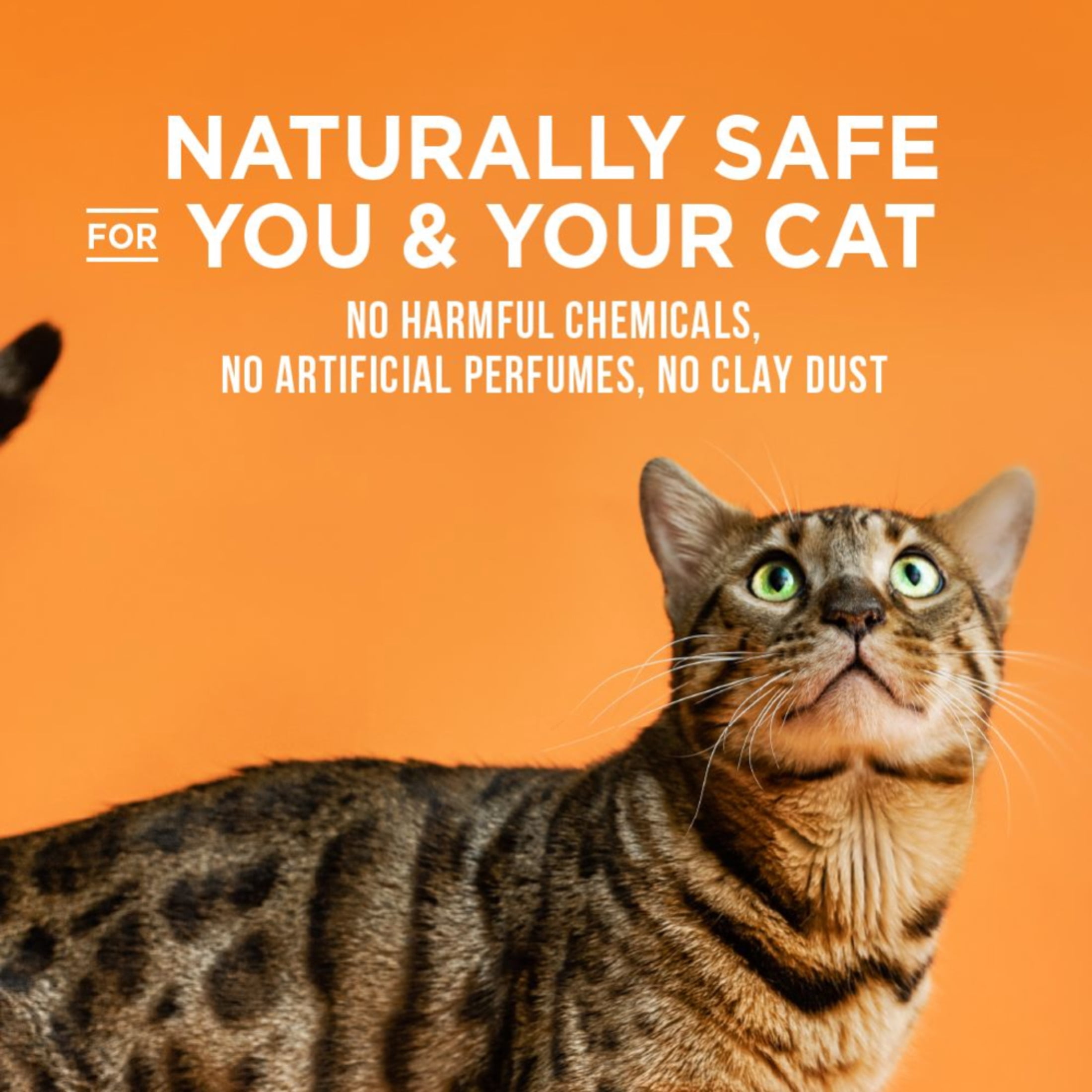 World's Best Cat Litter® Track Defense™ Unscented, Low Tracking, Dust Control, Made from Corn, Quick Clumping, Flushable, 99% Dust Free, Long-Lasting Odor Control & Easy Scooping, 15 Pound Bag