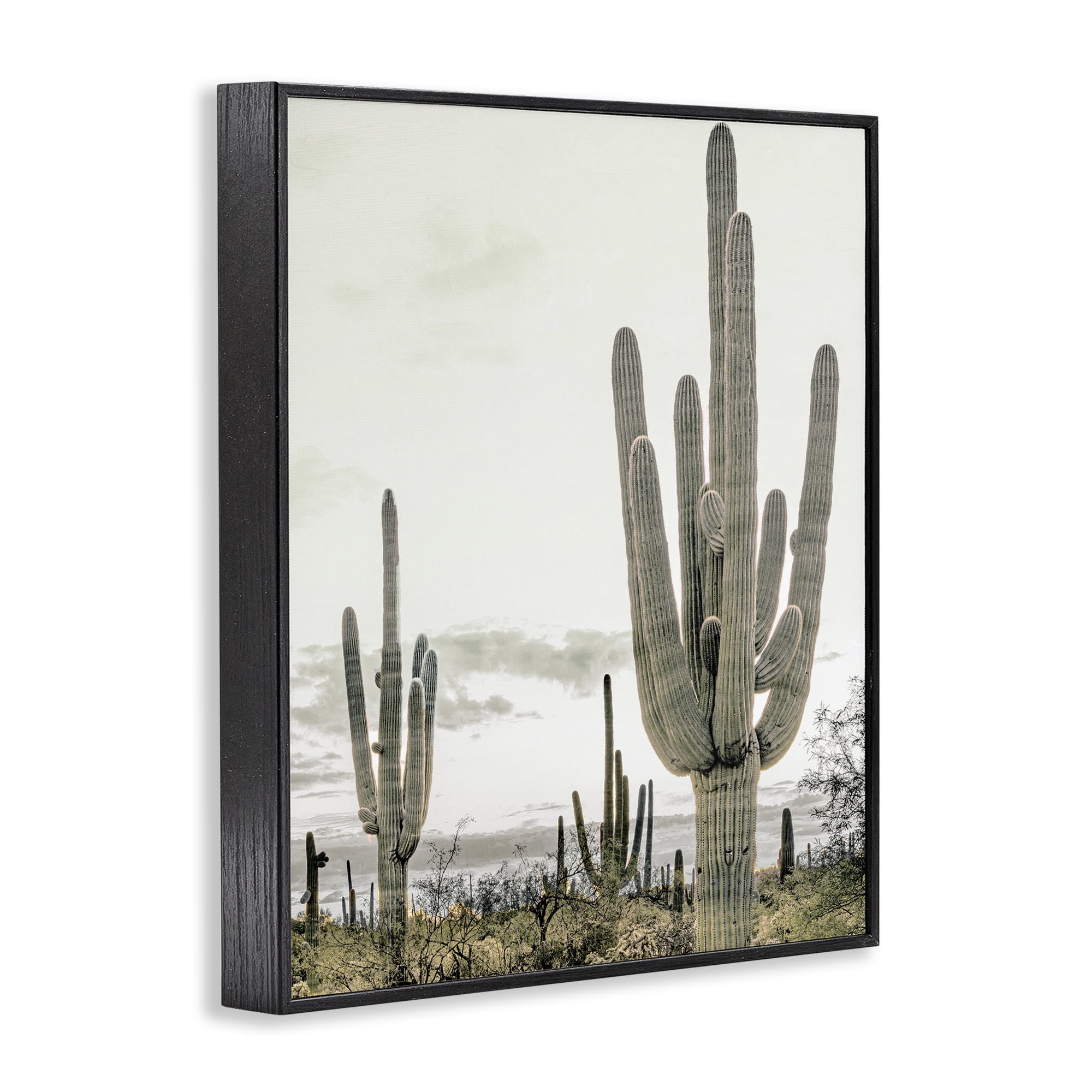 Stupell Industries Subdued Desert Cacti Black Framed Giclee Art, design by Kim Allen
