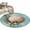 Bronze, variant on Round Rugs 4Ft, Coastal Shell Round Area Rug Washable Indoor Throw Carpet, Vintage Botanical Beach Nautical Soft Non Slip Circle Rug for Kitchen Nursery Room Home Decor Aesthetic