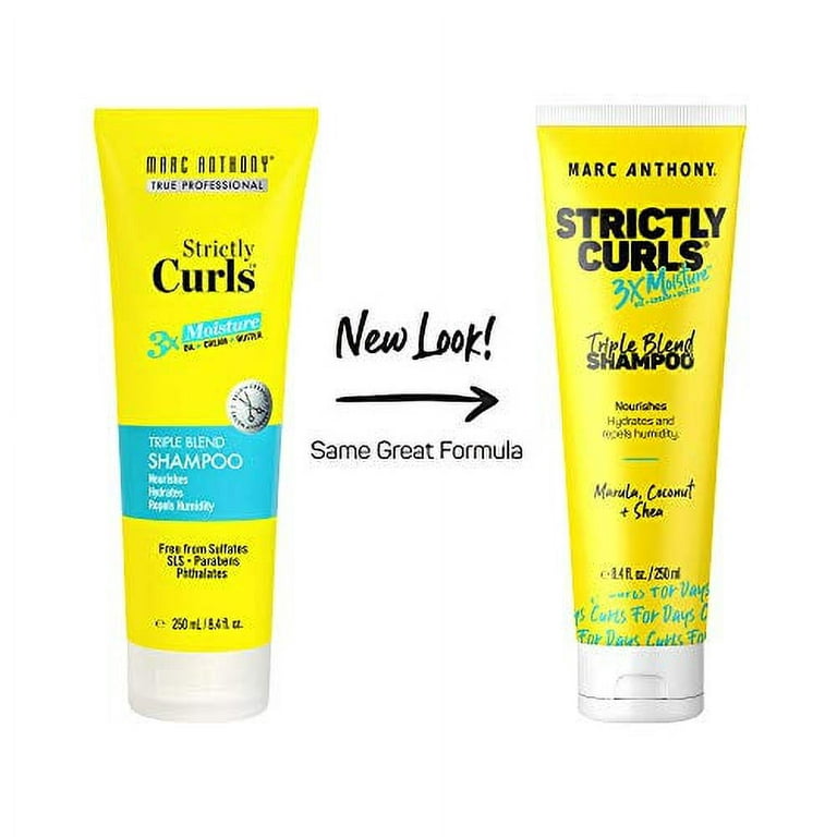 Strictly Curls® 3X Moisture 2-In-1 Scalp Scrub + Shampoo - Marc Anthony