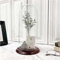 thumbnail image 2 of Plymor 5.5" x 13" Glass Display Dome Cloche (Dark Mahogany Veneer Base), 2 of 2