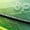 Green, variant on Sneakers, A Pair Of Basketball Shoes for Men, Designer Adult Low-top Sports Shoes, Men's Dunking Shock-absorbing Shoes, The Best Multi-colored' And Girls' Pink Anti-slip Group Training Shoes.