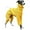 Yellow, variant on HQREA Dog Winter Warm Coat for Italian Greyhound Fullbody Whippet Dog Onesie