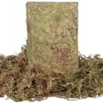 thumbnail image 5 of DIY Filamentous Moss, 2.2 lbs Dried Moss with Realistic Texture, Decorative Landscaping Material for Planting, Terrariums, Vivariums, and Garden Decoration, 5 of 6