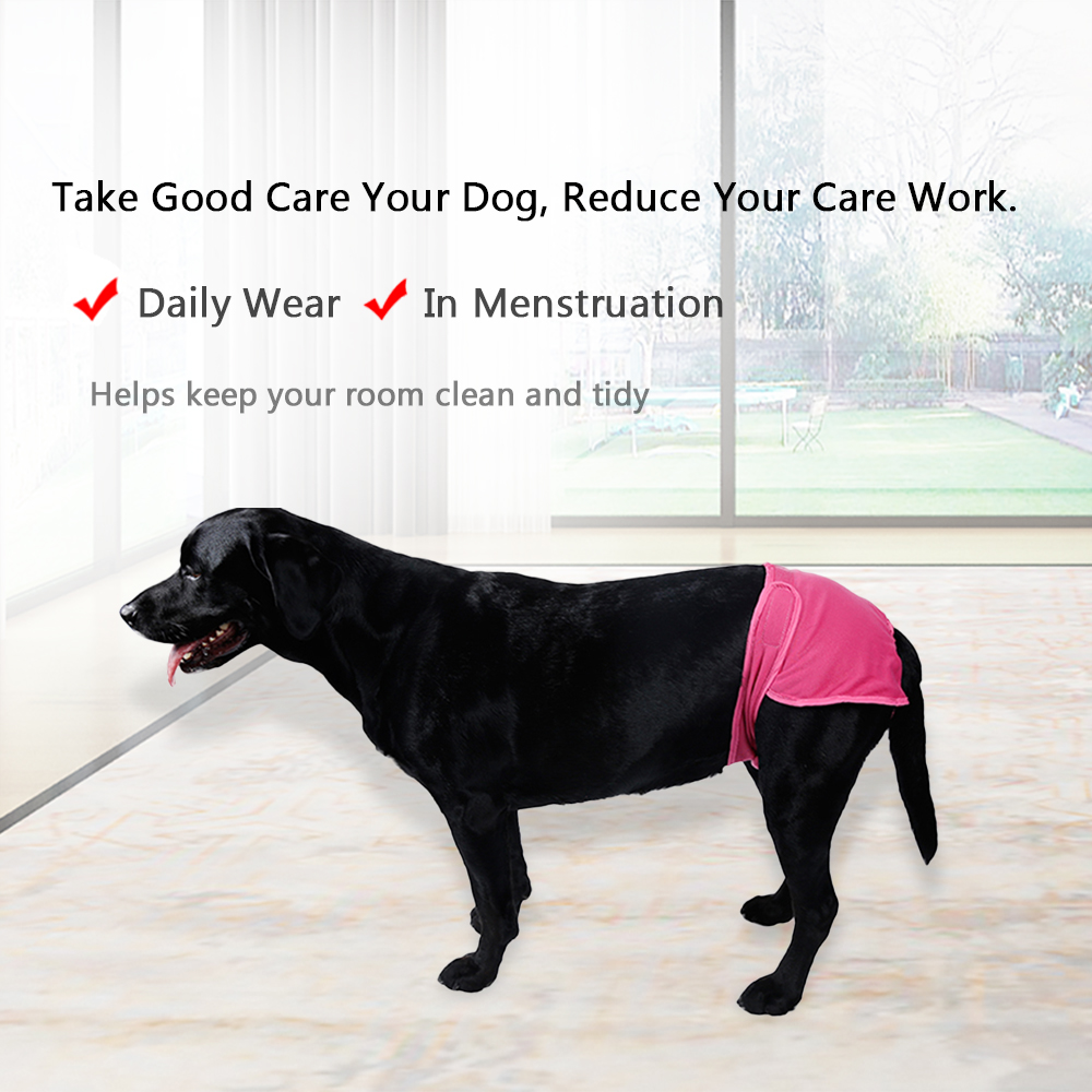 dog menstruation pants