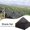 thumbnail image 4 of Sombrilla Net Outdoor Garden Sunscreen Cloth Car Sunblock Shade Cover Plant Cover 90% Tasa De Sombreado Monstrate HA022648-00, 4 of 7