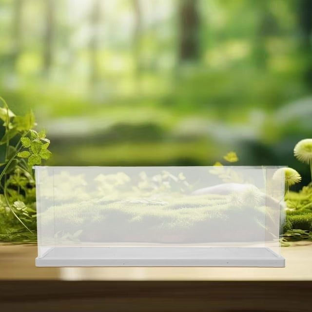 unbranded Estuche De Acrílico Transparente Para Colecciones Múltiples Con Base Para Escritorio O Gabinete