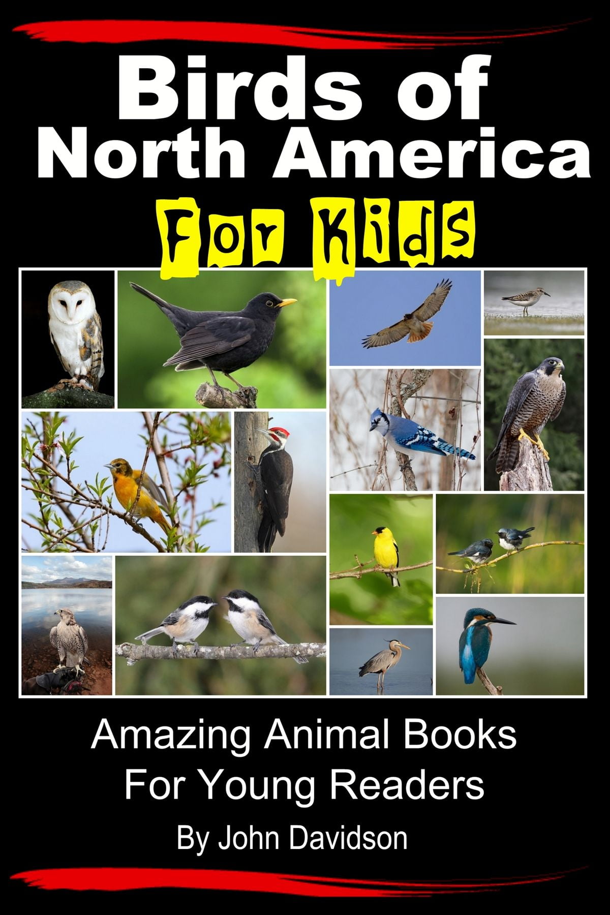 Birds of North America For Kids: Amazing Animal Books for Young Readers - eBook
